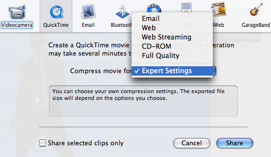 put DVD into Apple iMovie
